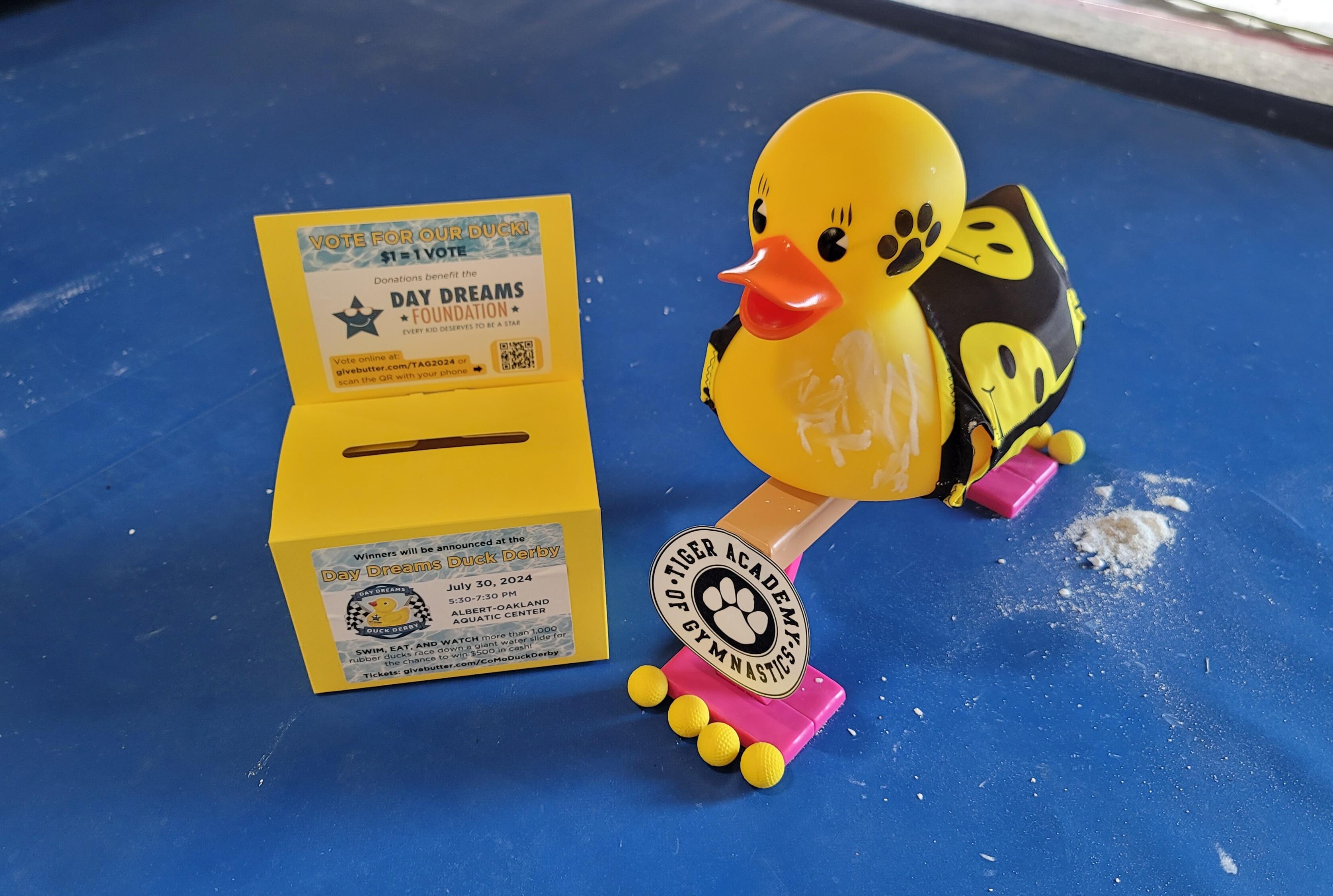 Campaign cover image for Tiger Academy's DUCK-orating Page