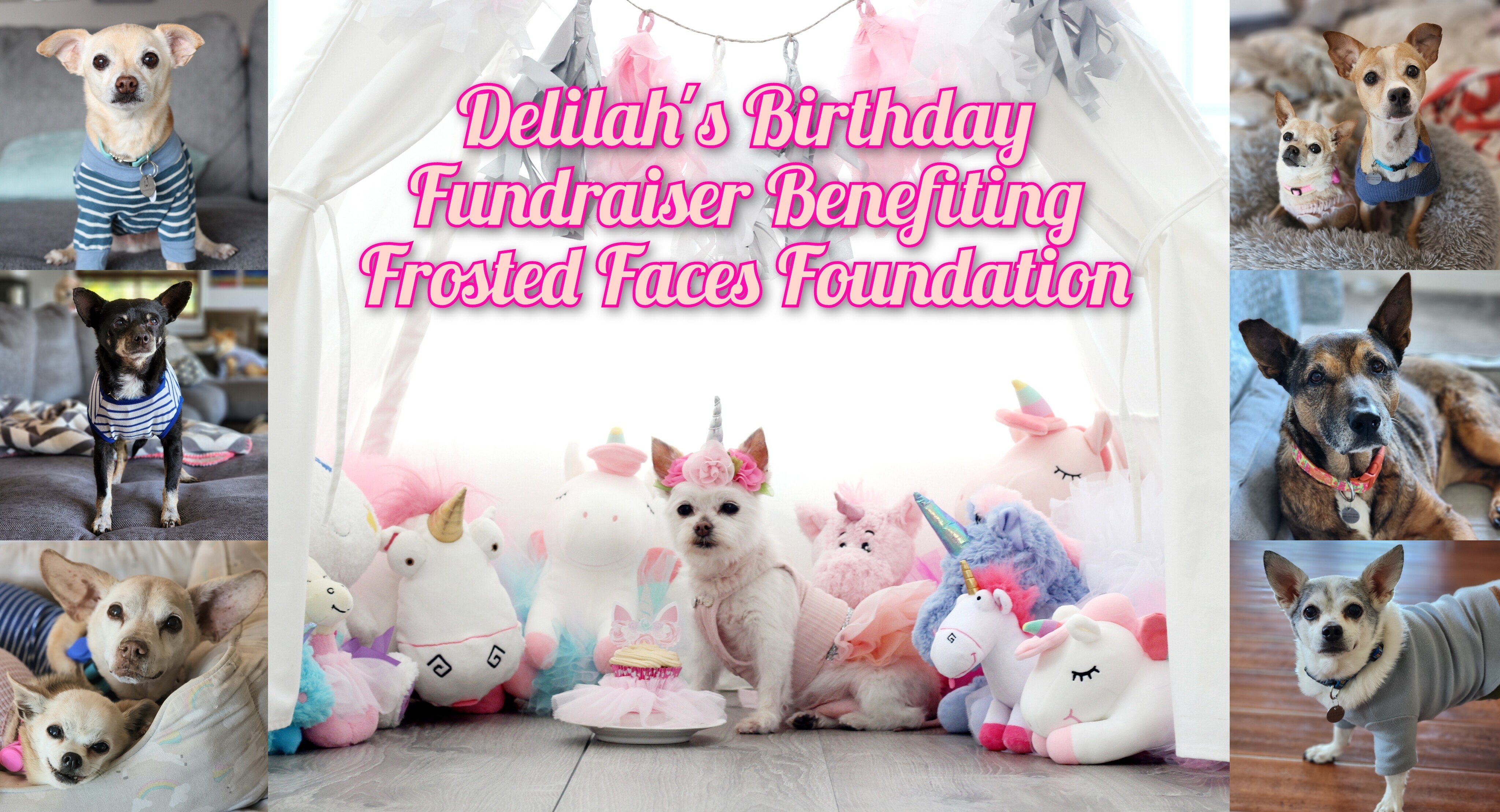 Campaign cover image for Delilah's Birthday Fundraiser - 2023