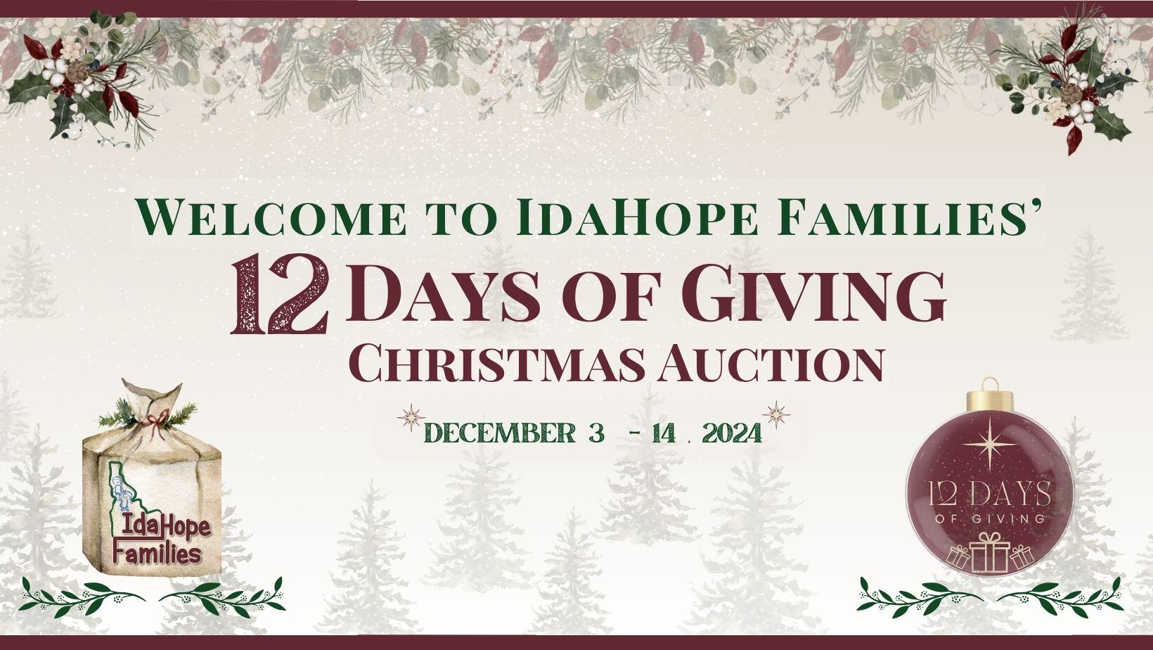 Campaign cover image for 12 Days of Giving 2024