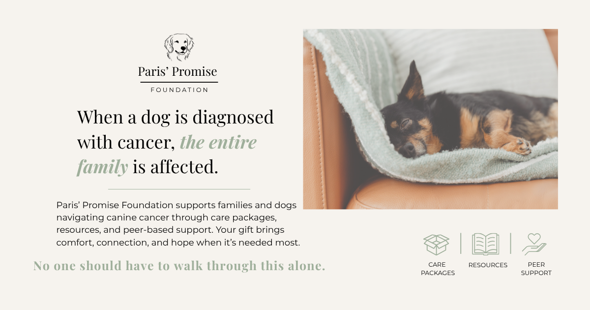 Campaign cover for Give Hope