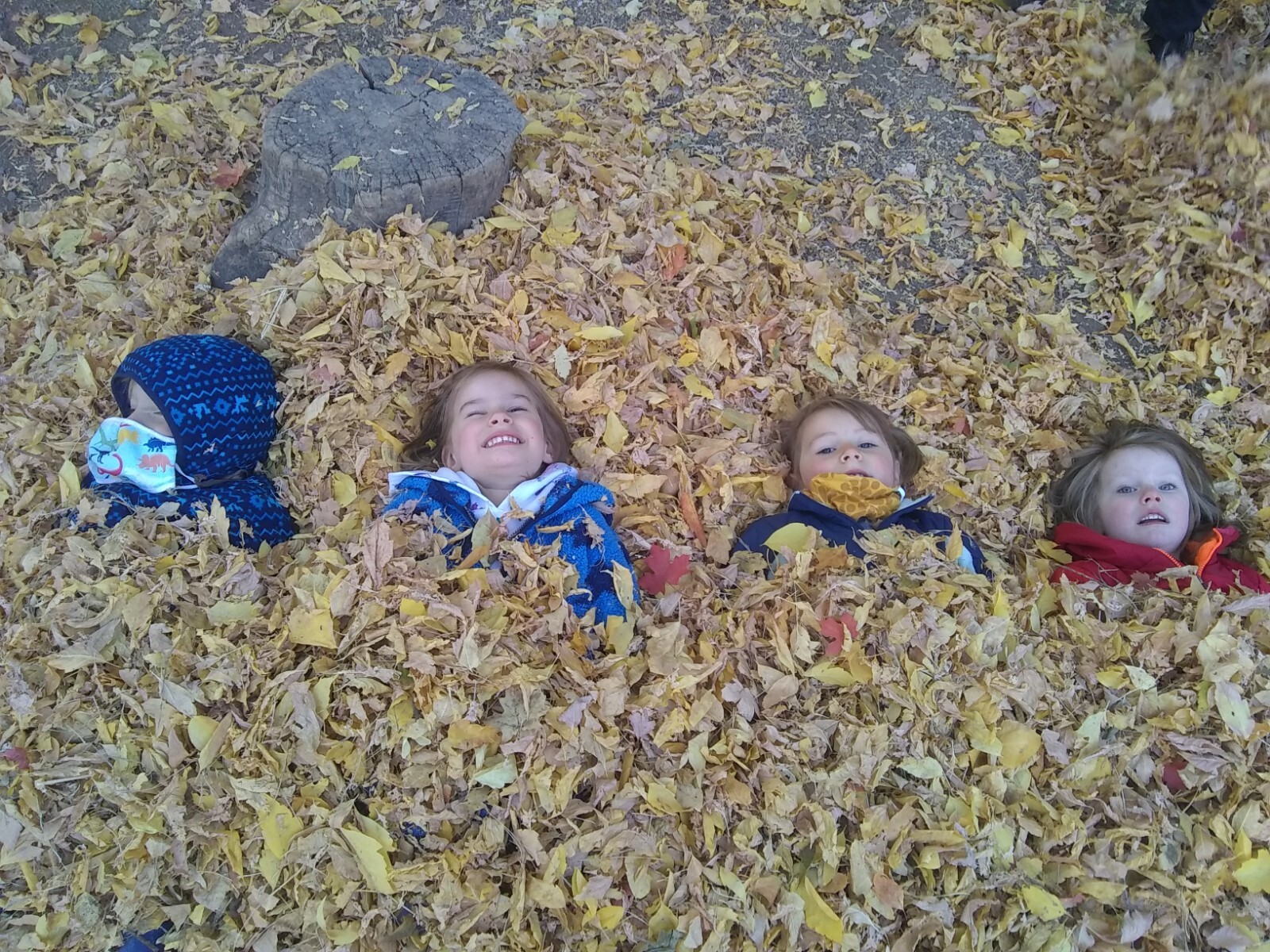 Campaign cover image for Nature Trivia Night 2026