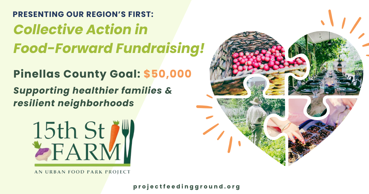 Campaign cover image for 15th Street Farm: Community Resilience