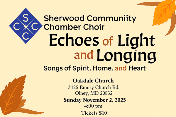 Campaign cover image for Echoes of Light and Longing