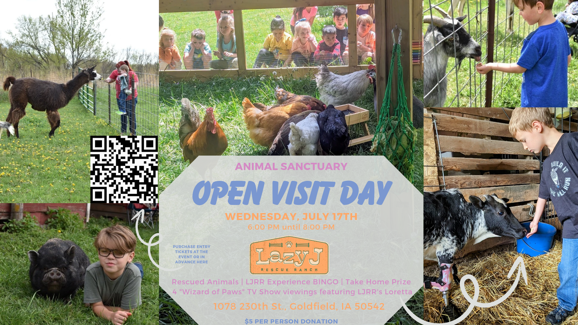 Campaign cover image for LJRR BINGO OPEN VISIT DAY