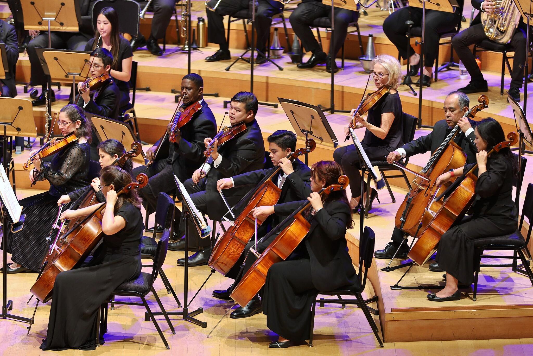 Campaign cover image for FASO Silent Auction Summer 2025