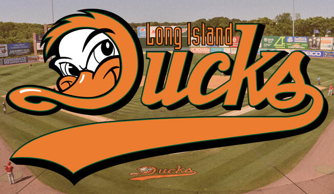 Campaign cover image for LI Ducks Game with Copiague Community Cares