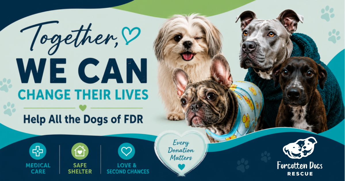 Campaign cover for Support the Dogs of Forgotten Dogs Rescue