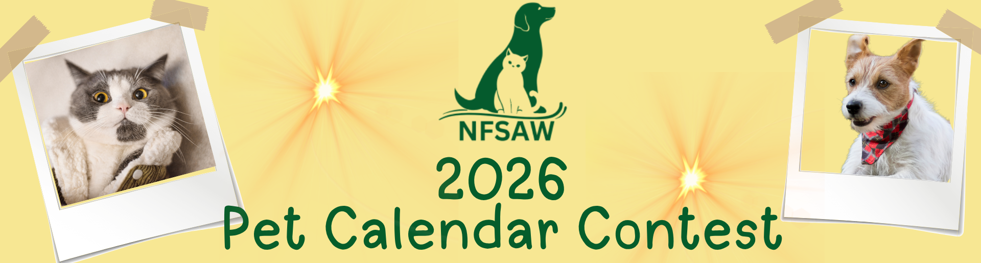 Campaign cover image for Tails & Treasures 2025 Auction