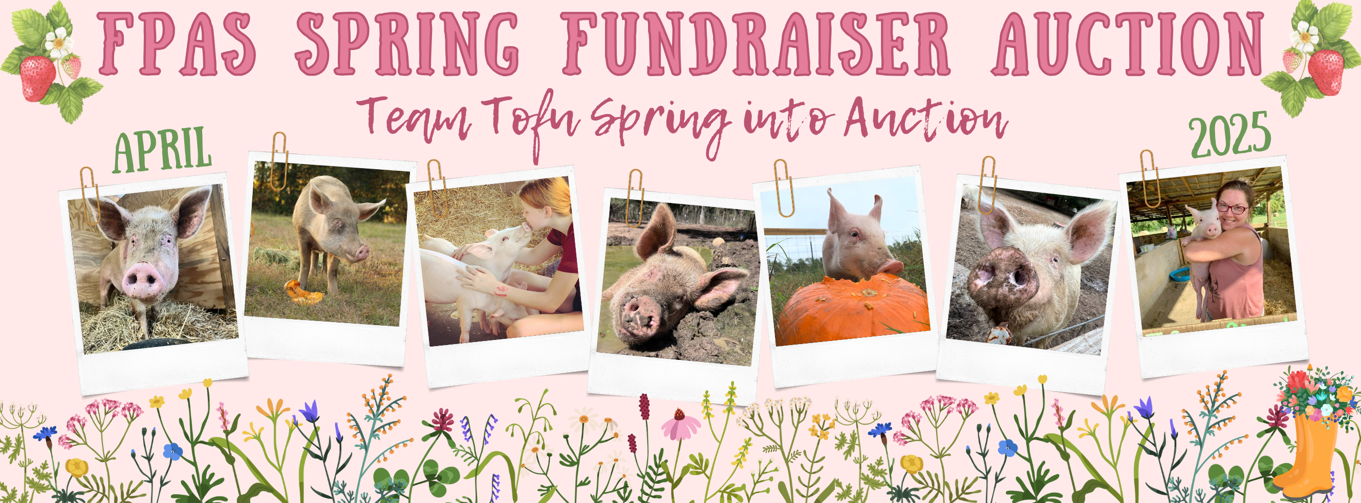 Campaign cover image for FPAS SPRING FUNDRAISER AUCTION