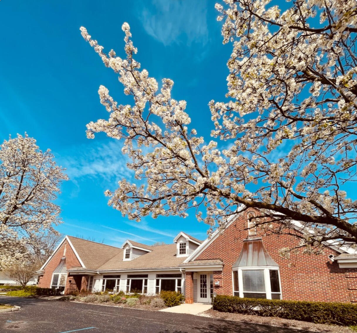 Campaign cover image for "A NEW CHAPTER" Recovery Cafe Lafayette- Region 3 Recovery Hub