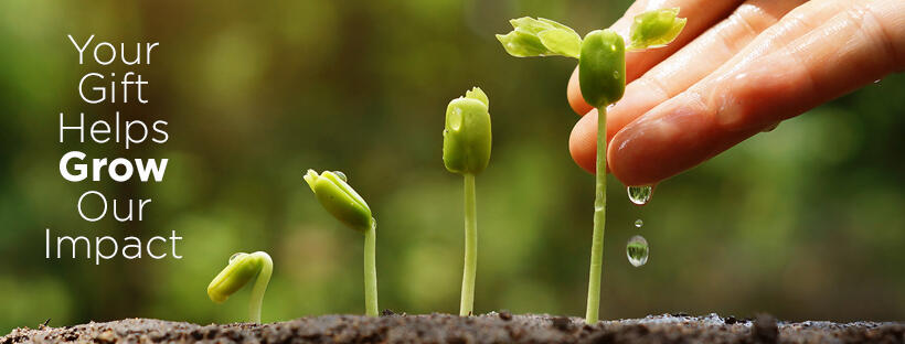 Campaign cover image for End of Year Fundraising Campaign 2025