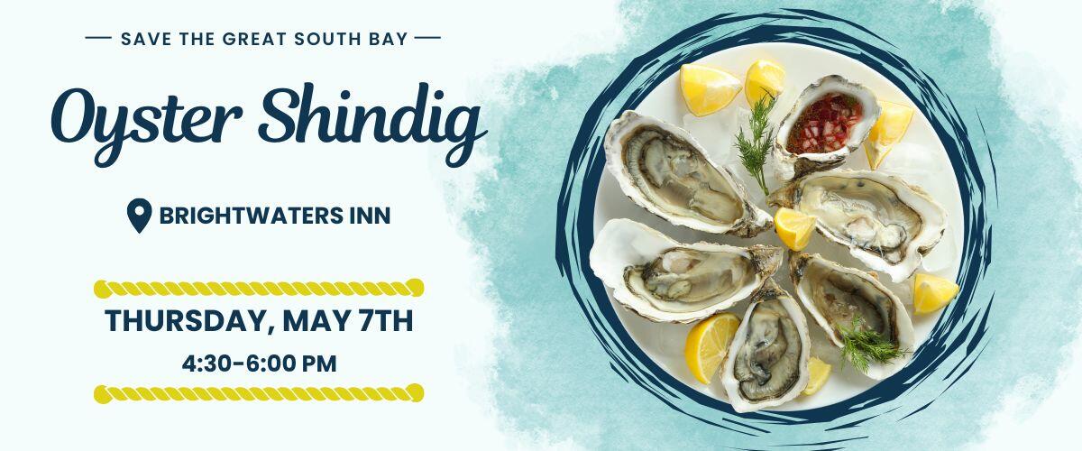 Campaign cover image for Oyster Shindig Brightwaters 2026