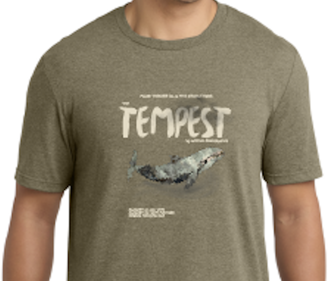 Campaign cover image for Tempest TShirts - $24.00 each