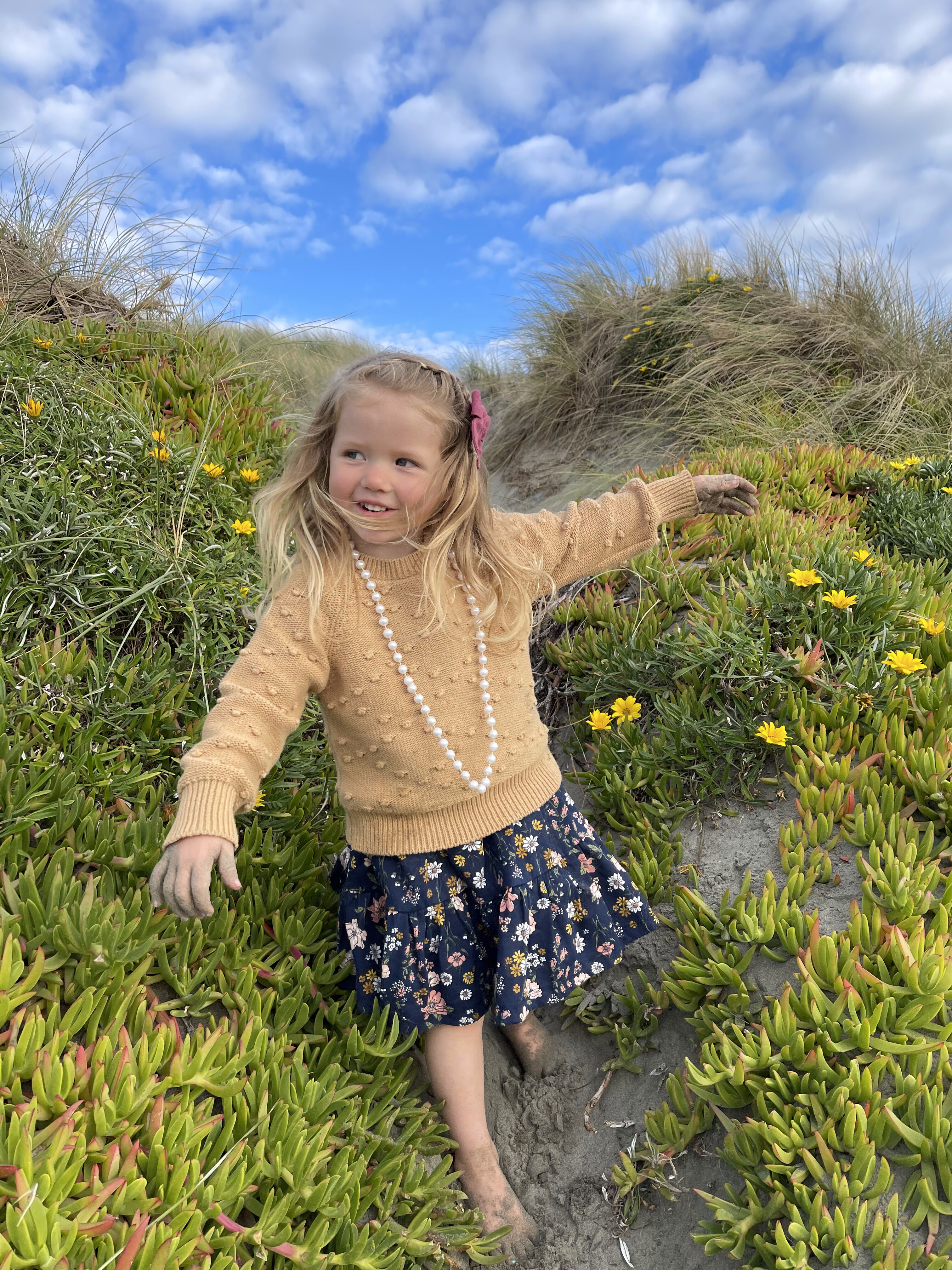 Campaign cover image for Quinley's Garden Online Auction