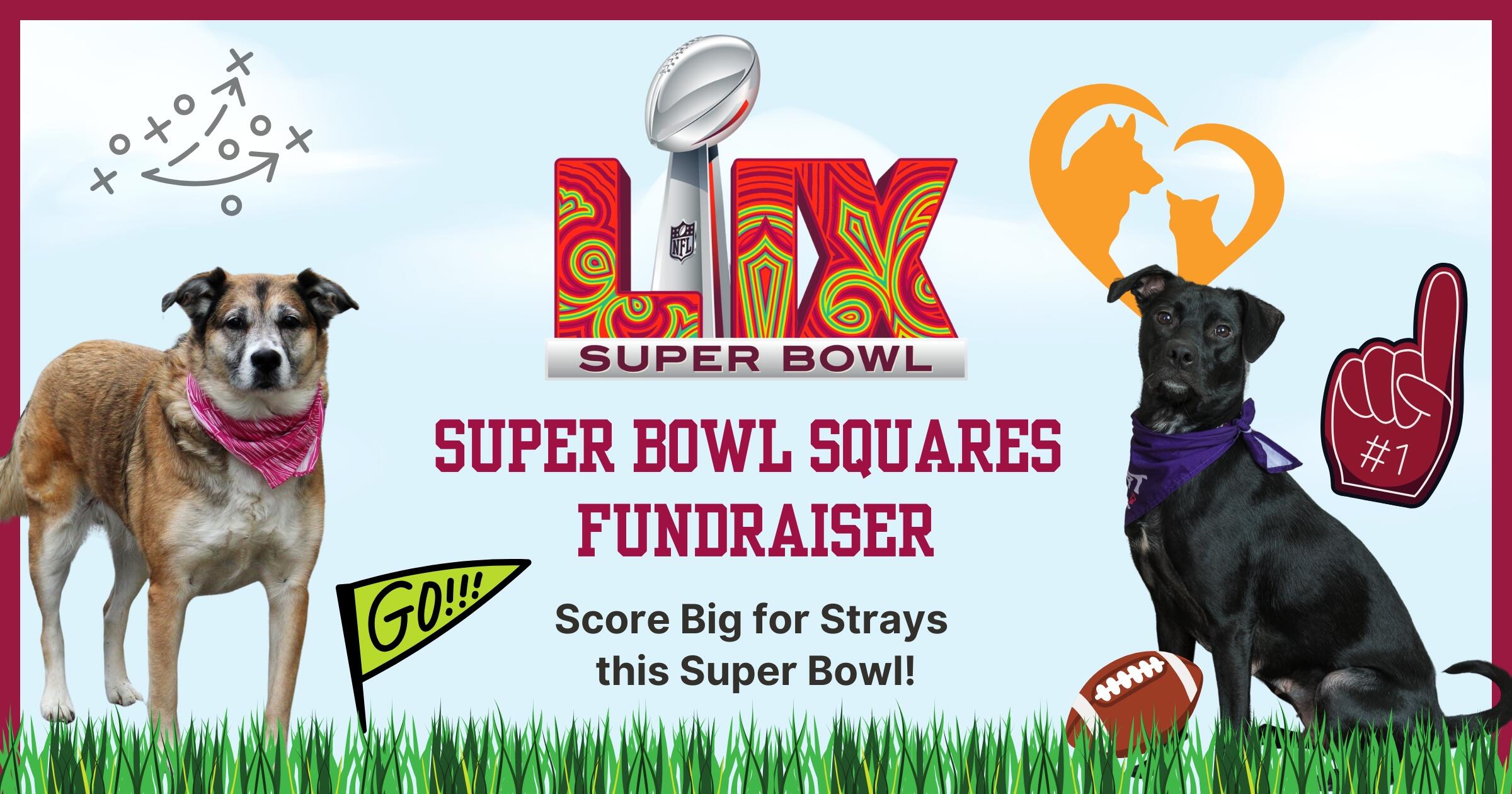 Campaign cover image for Super Bowl Squares