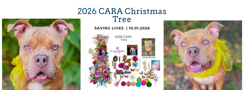 Campaign cover image for 2026 CARA Christmas Tree Fundraiser