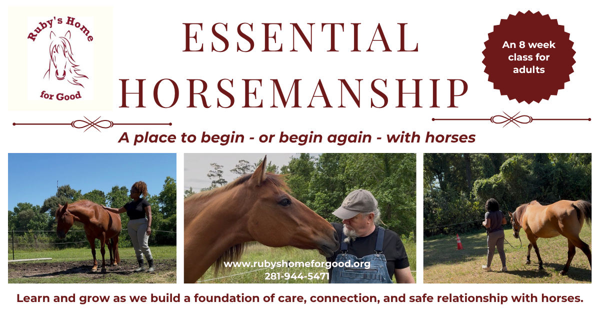 Campaign cover image for Essential Horsemanship Class
