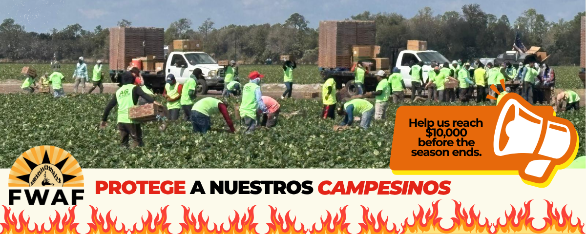 Campaign cover image for Support Our Farmworkers: Beat the Heat