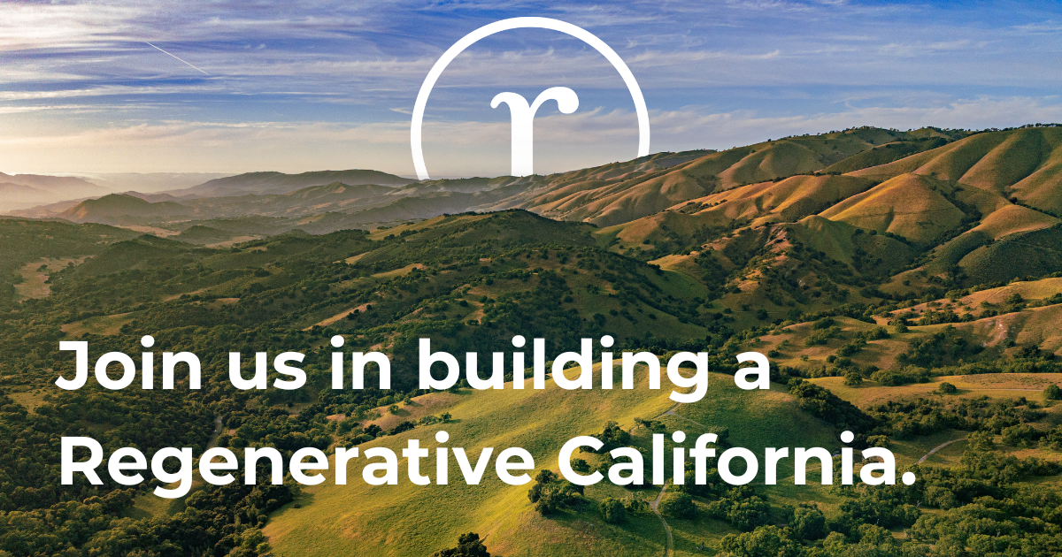 Campaign cover image for Support Our Work