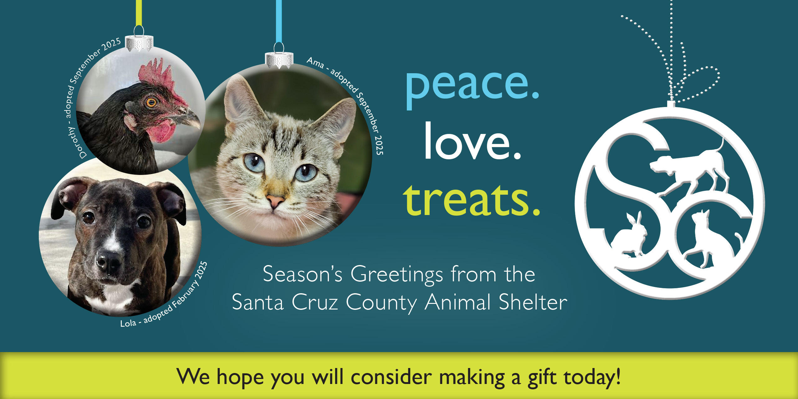 Campaign cover image for Help the Animals this Holiday Season