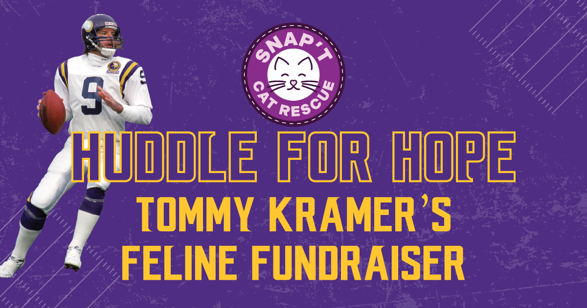 Campaign cover image for HUDDLE FOR HOPE