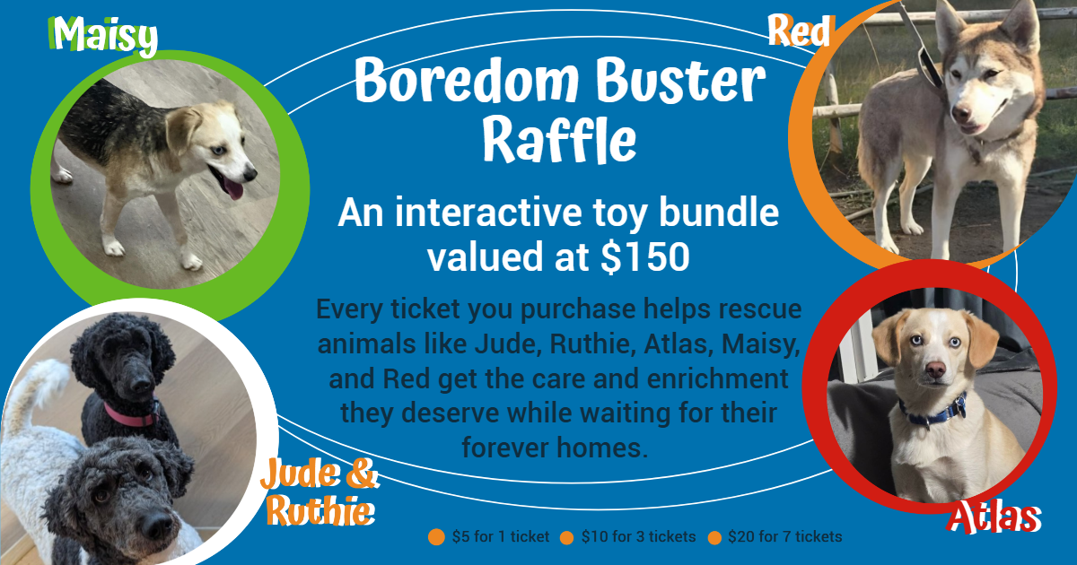 Campaign cover image for Boredom Buster Raffle