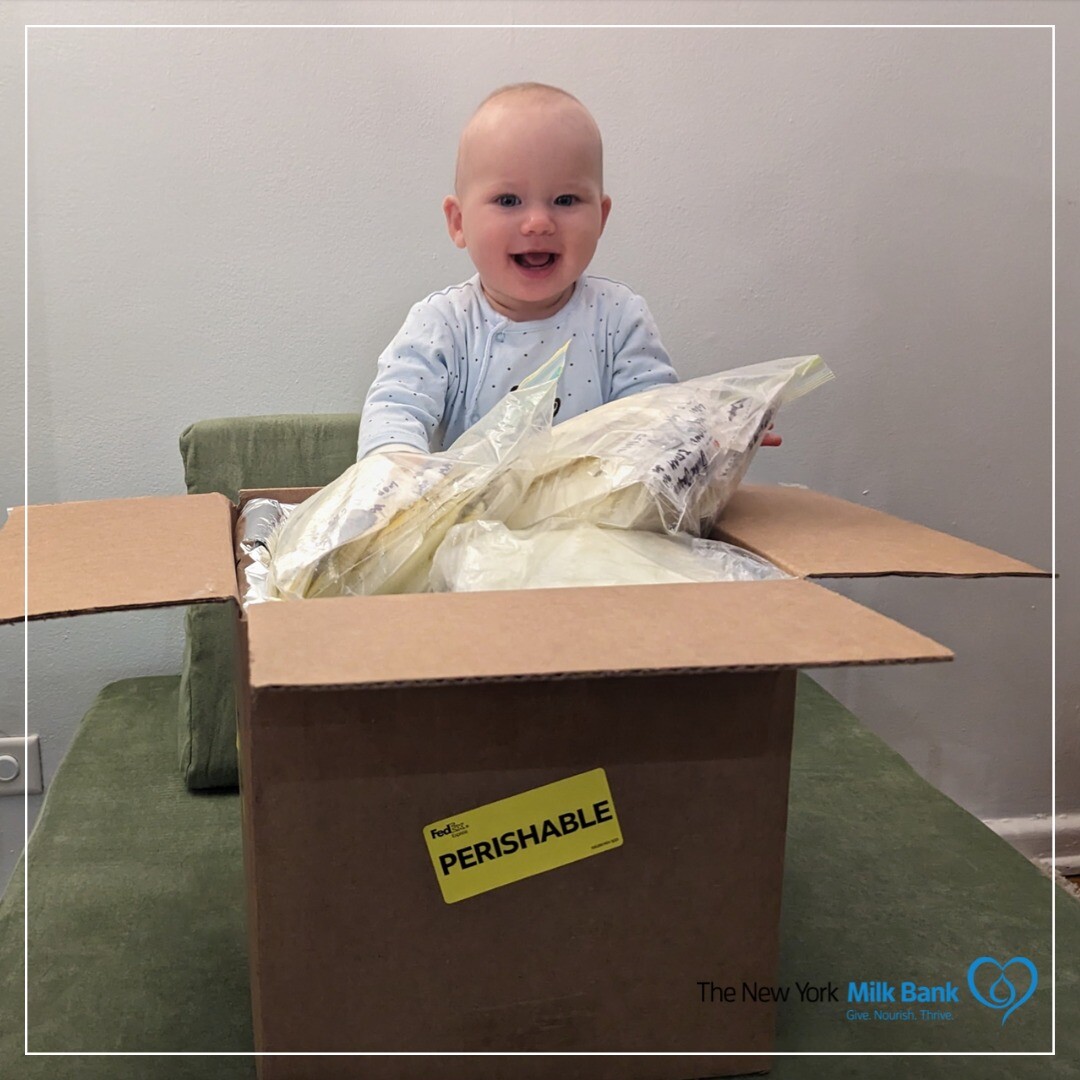 Campaign cover image for The New York Milk Bank Holiday Auction!