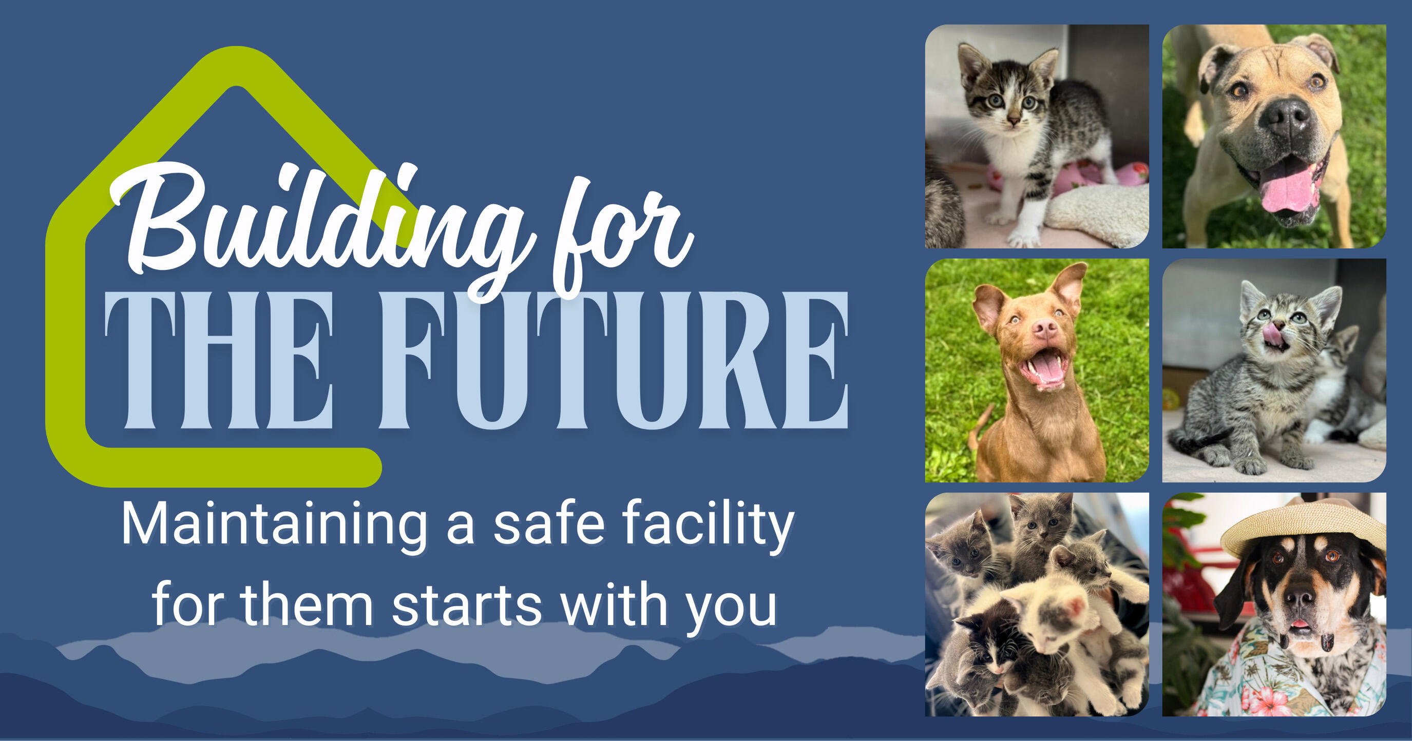 Campaign cover image for Building for the Future