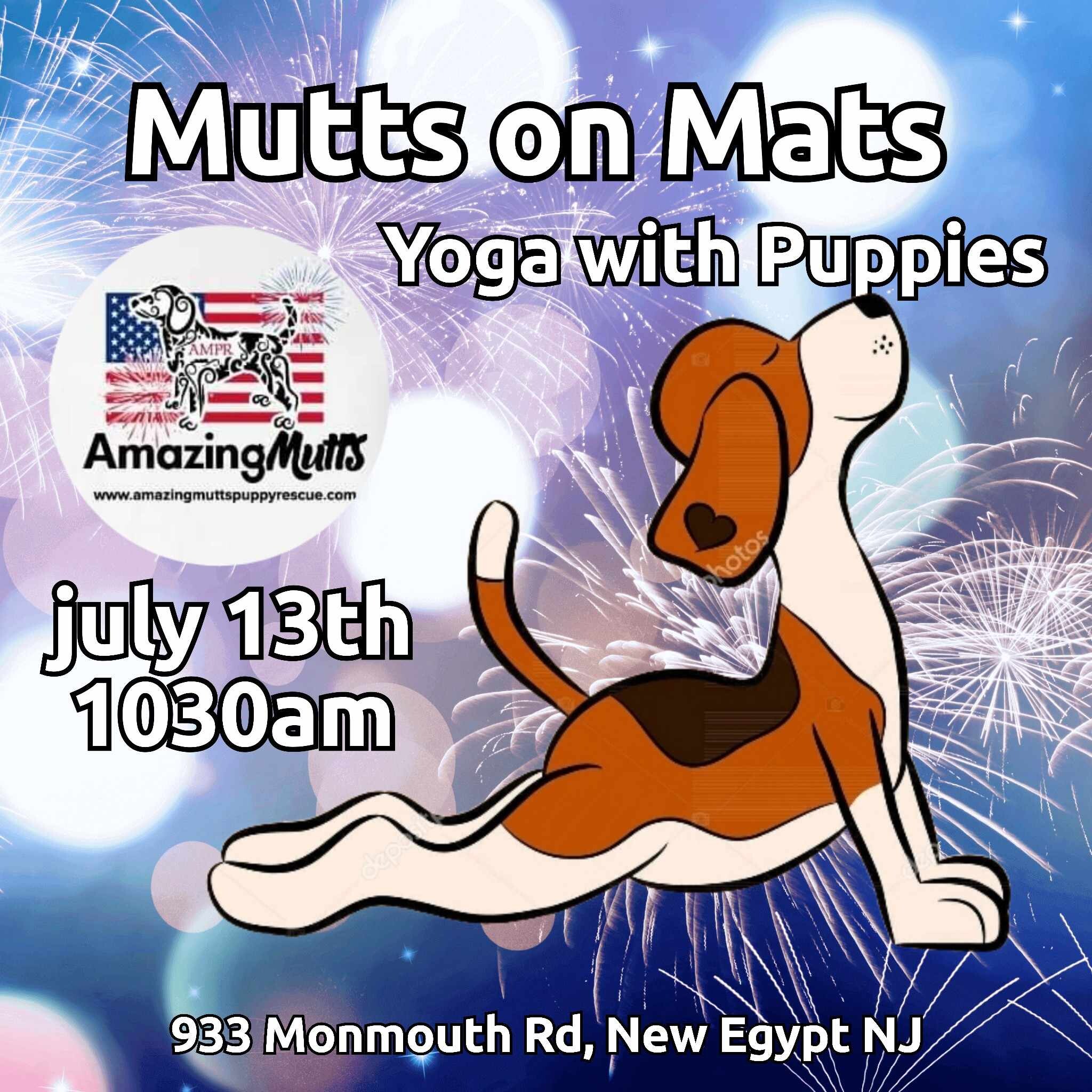 Mutts on Mats July 13th 10:30am | Amazing Mutts Puppy Rescue, llc.