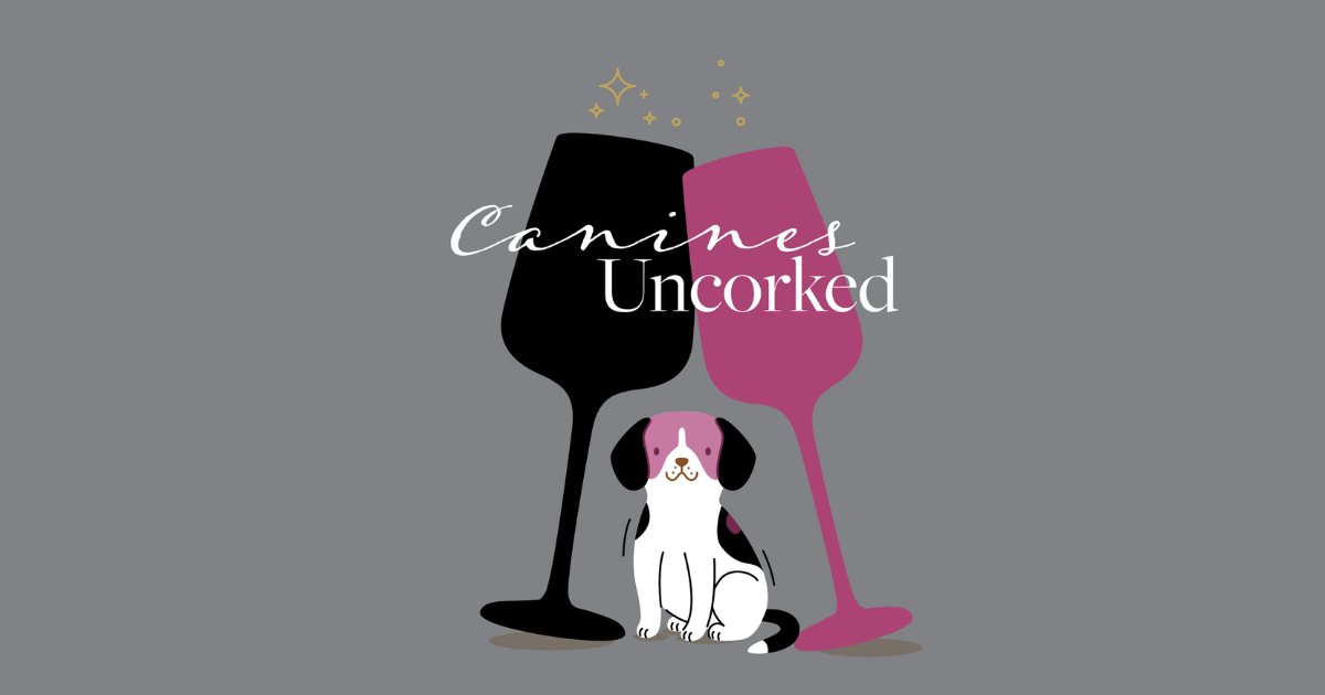 Campaign cover image for 2025 Canines Uncorked
