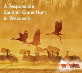 Campaign cover image for Sandhill Crane Donations