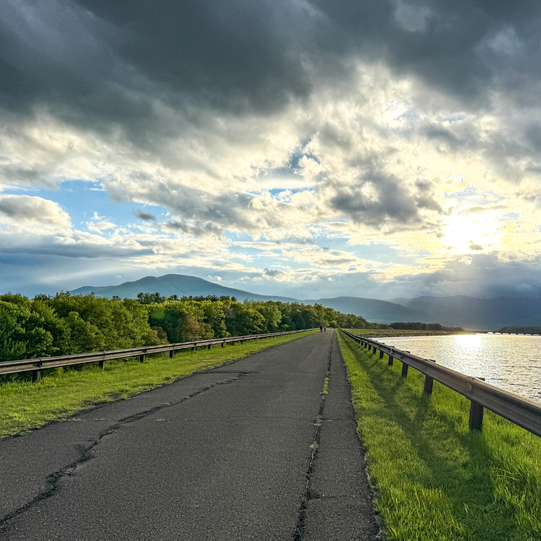Campaign cover image for Ashokan Forestry Walk & Talk