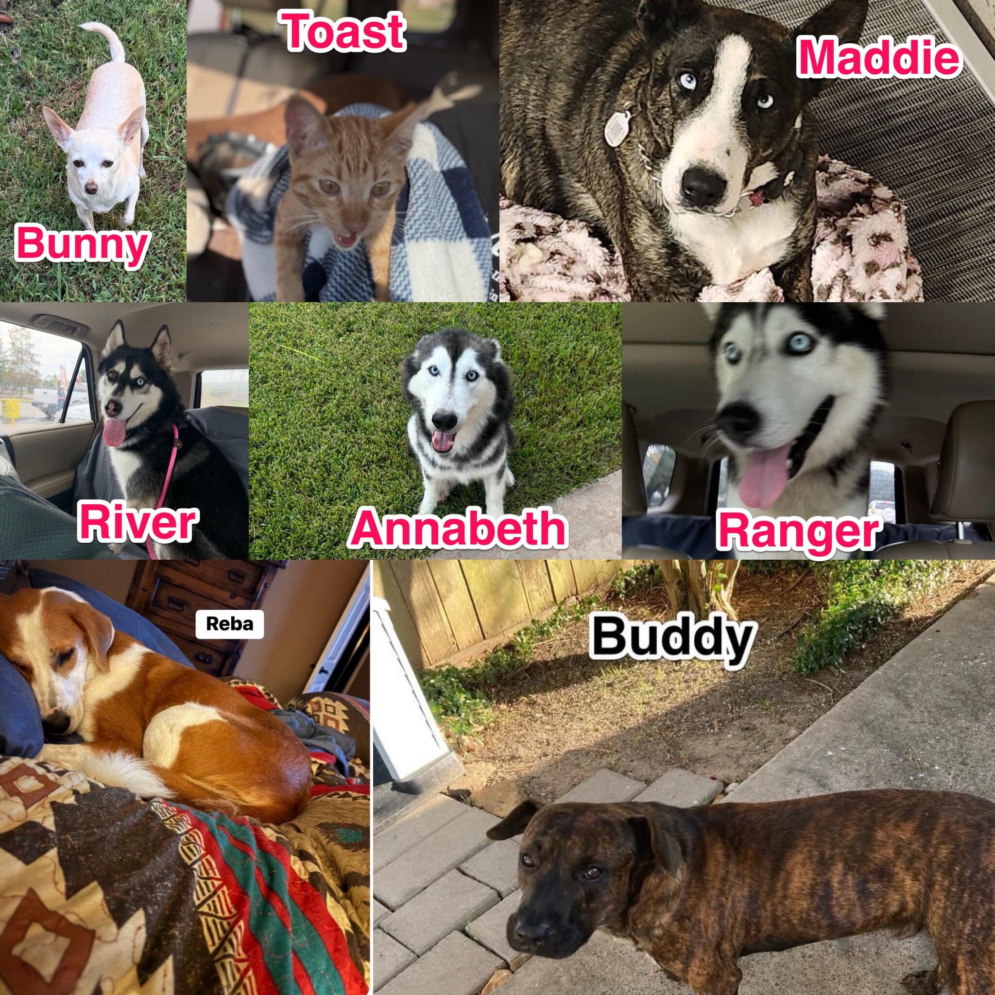 Campaign cover image for Summer Bill Coverage