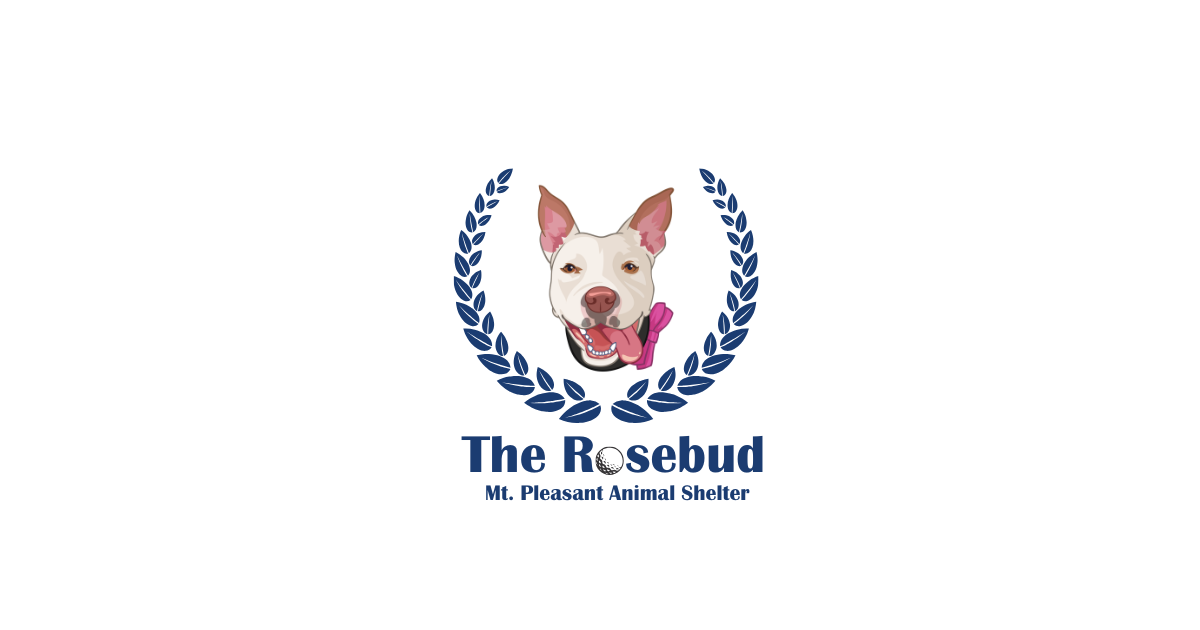 Campaign cover image for The Rosebud Silent Auction