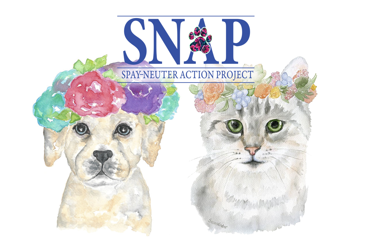 Campaign cover image for 🌺 SNAP’s Summer Garden Soirée 🌺