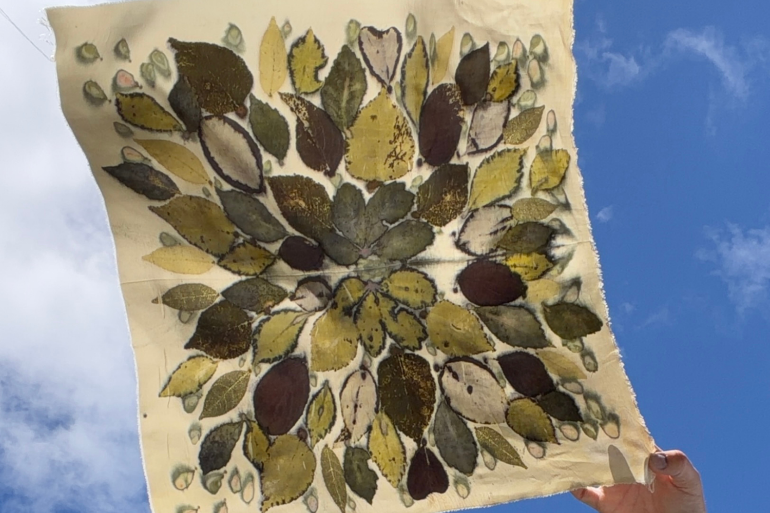 Campaign cover image for Fall Colors: Natural Dye Workshop with Eco Artist Courtney Dudley
