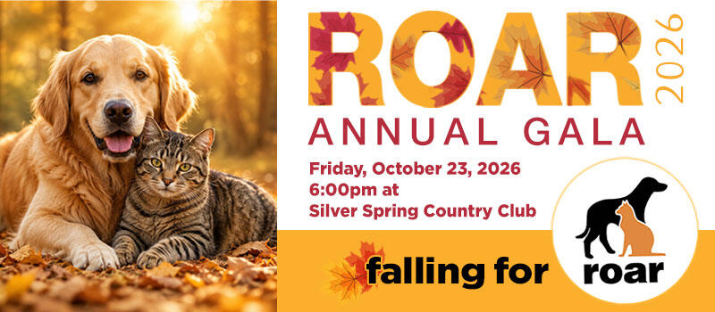 Campaign cover image for ROAR Annual Gala 2026