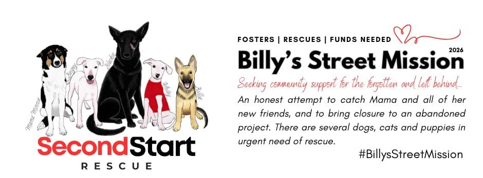 Campaign cover image for Billy's Street Mission Fund- Saving Mama & Friends