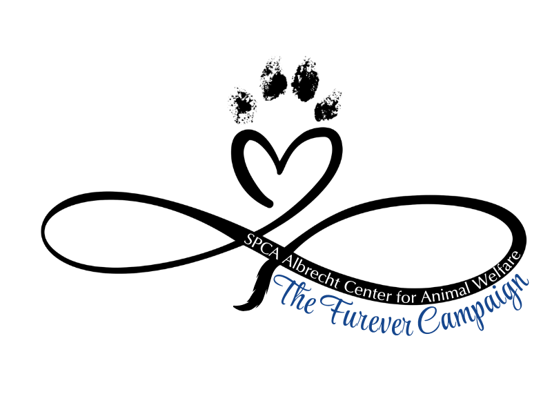 Campaign cover for Furever Campaign