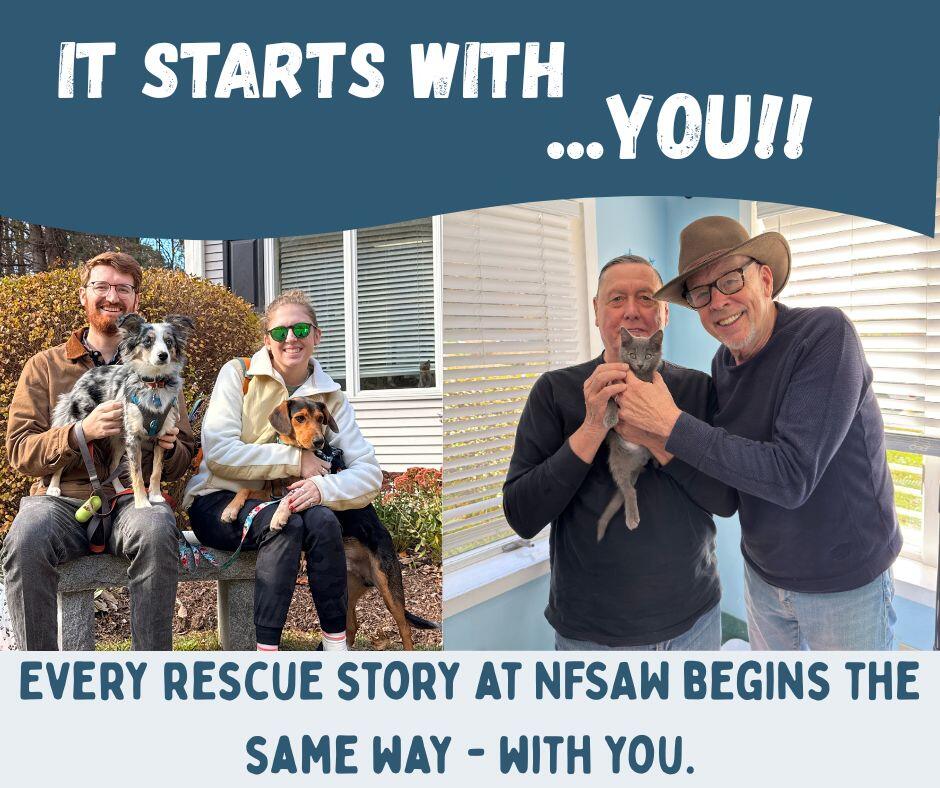 Campaign cover image for Giving Tuesday 2025