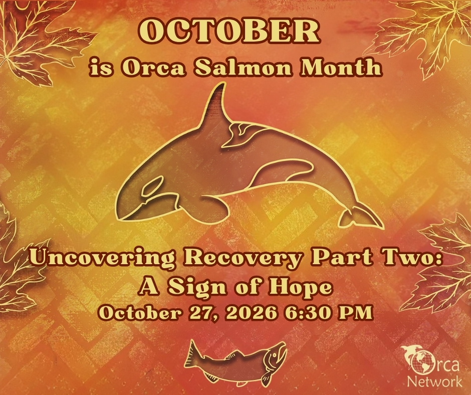 Campaign cover image for Uncovering Recovery Part Two - A Sign of Hope