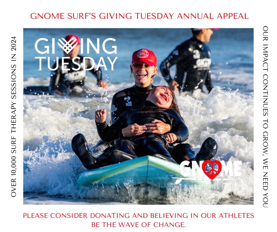 Campaign cover image for Gnome's Giving Season Annual Funraiser: Be the Wave of Change