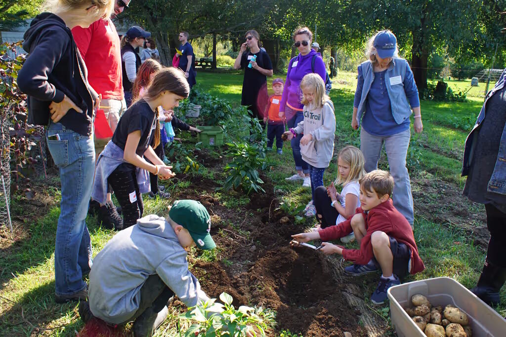 Campaign cover image for Launch Digital Impact Project