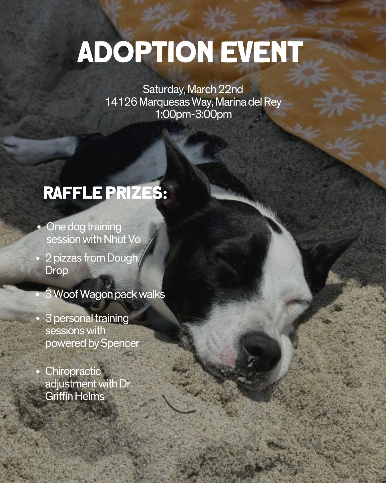 Campaign cover image for Adoption Event Raffle
