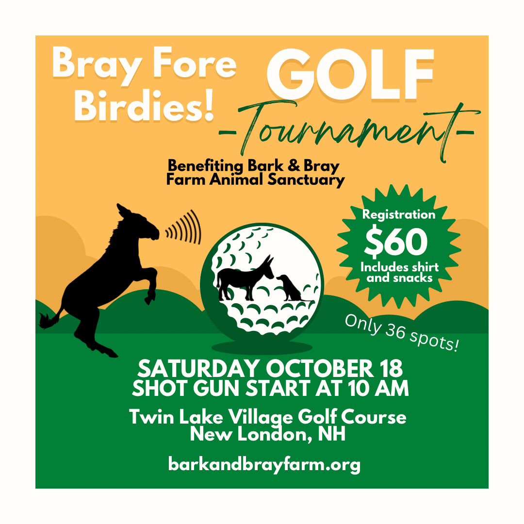 Campaign cover image for Bray Fore Birdies