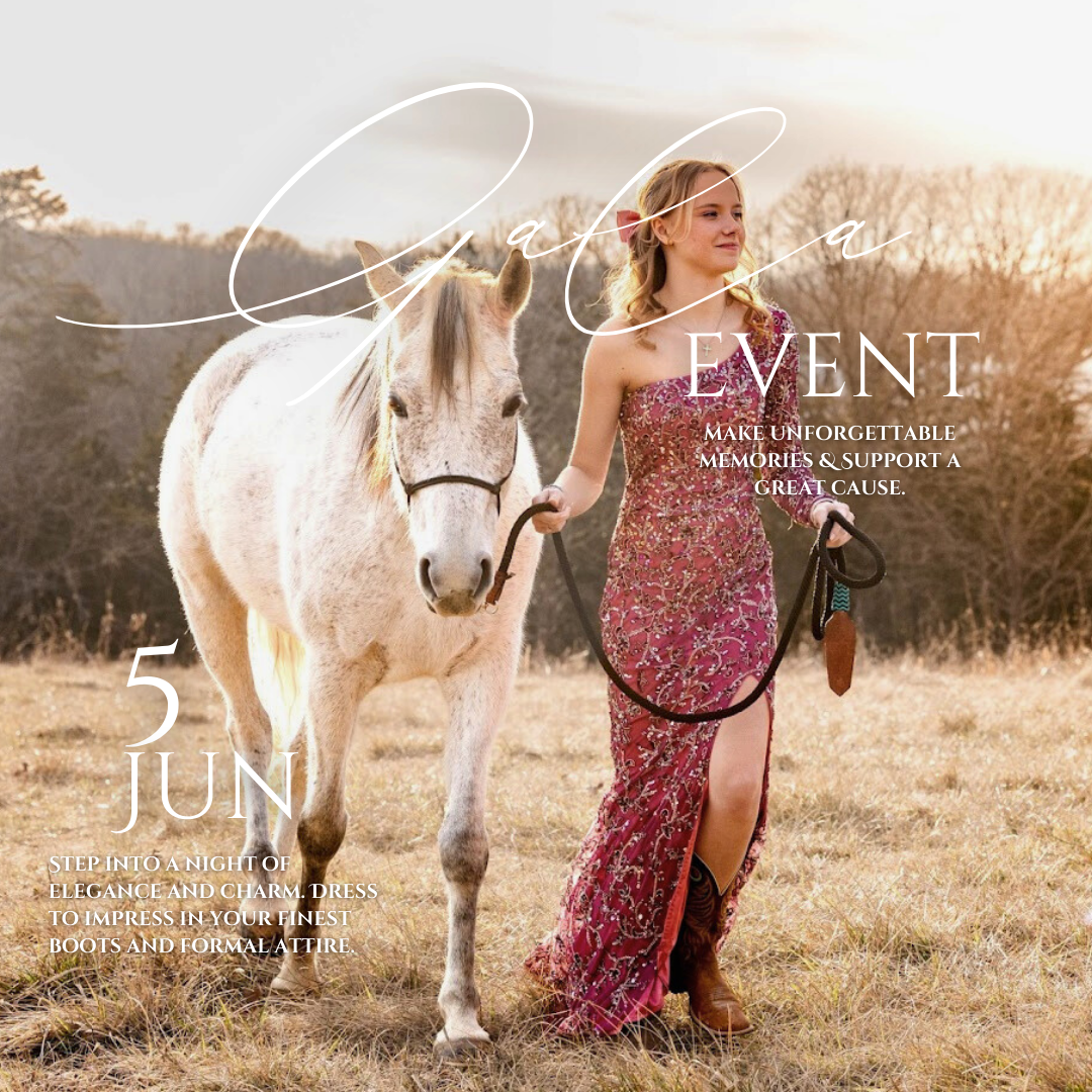 Campaign cover image for Boots & Ballgowns Gala 2026