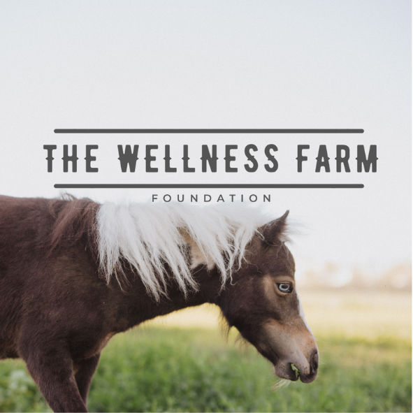 Campaign cover image for Hydration for Healing Hooves and Hearts