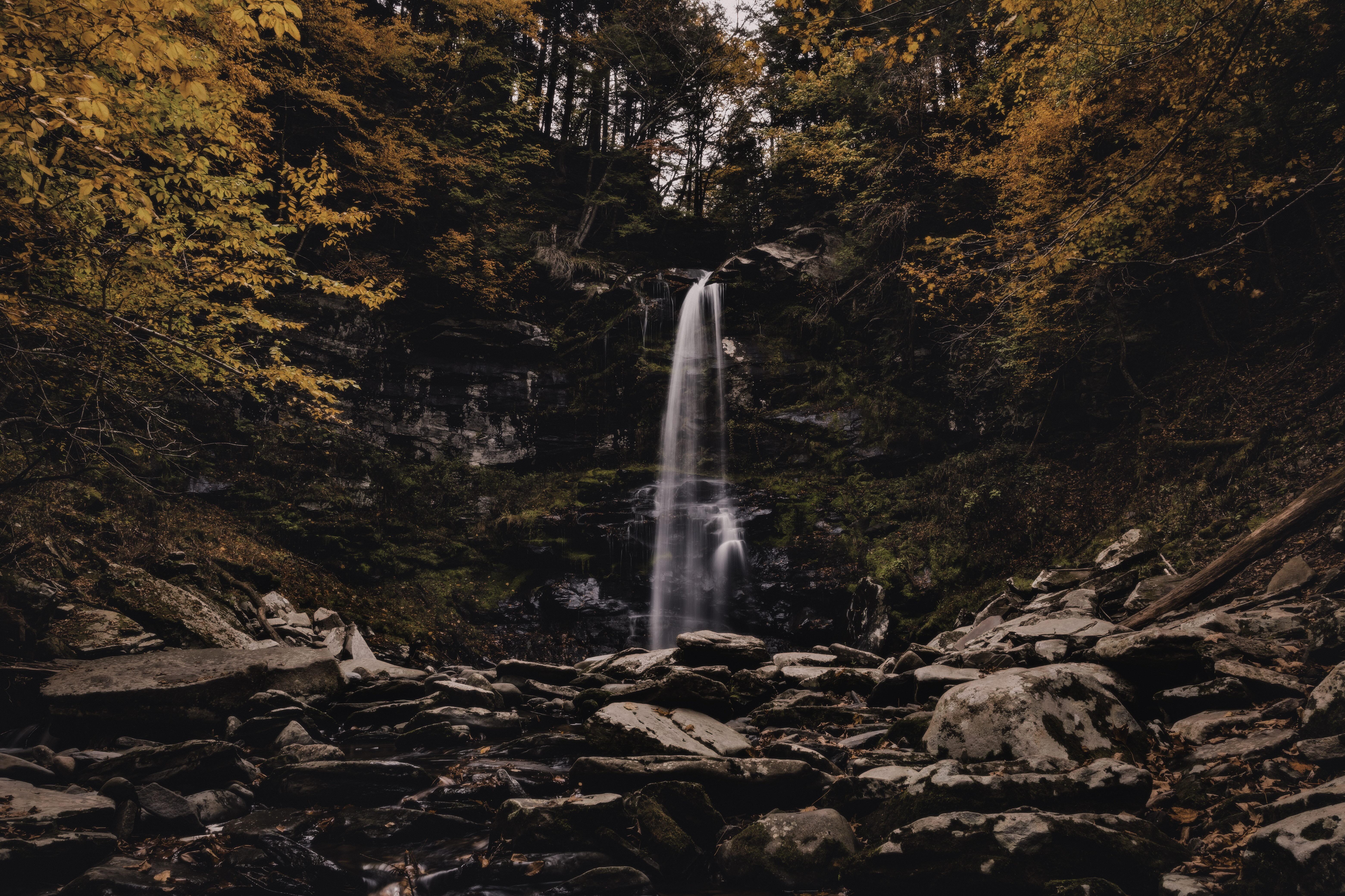 Campaign cover image for Catskills Geology Walk with Robert Titus