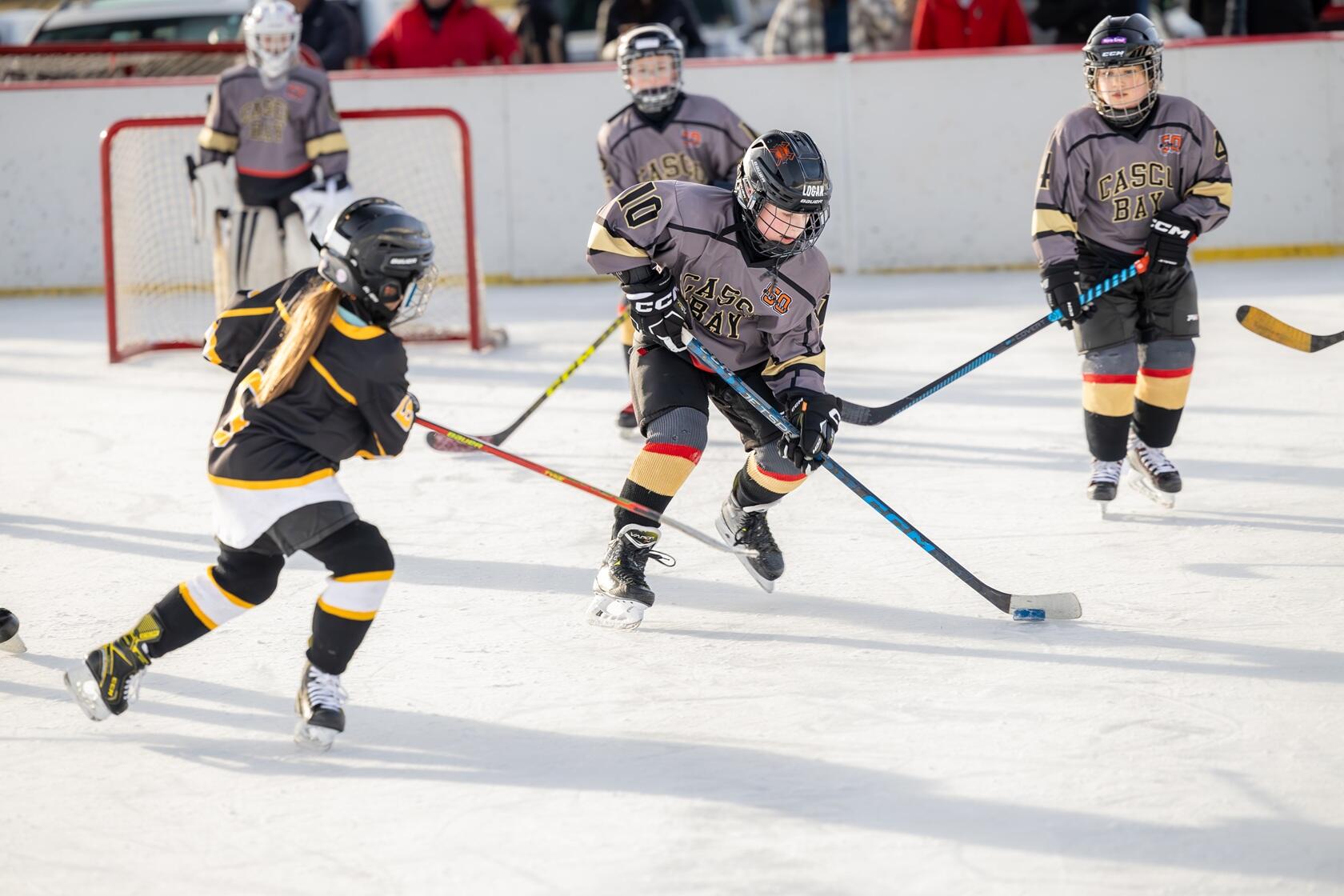 Campaign cover image for 2026 Mites Hockey Tournament - February 25