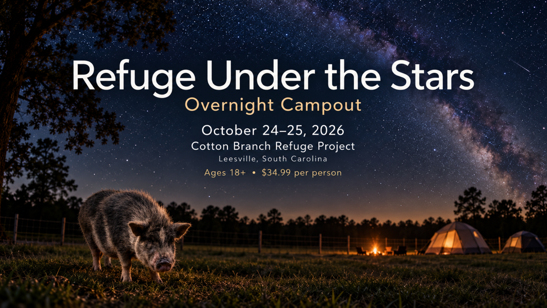 Campaign cover image for Refuge Under The Stars | Campout